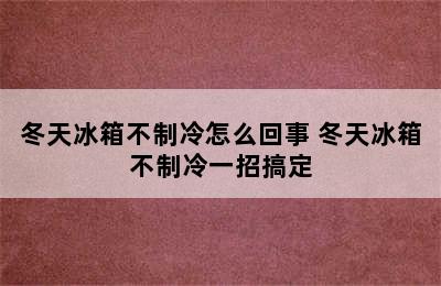 冬天冰箱不制冷怎么回事 冬天冰箱不制冷一招搞定